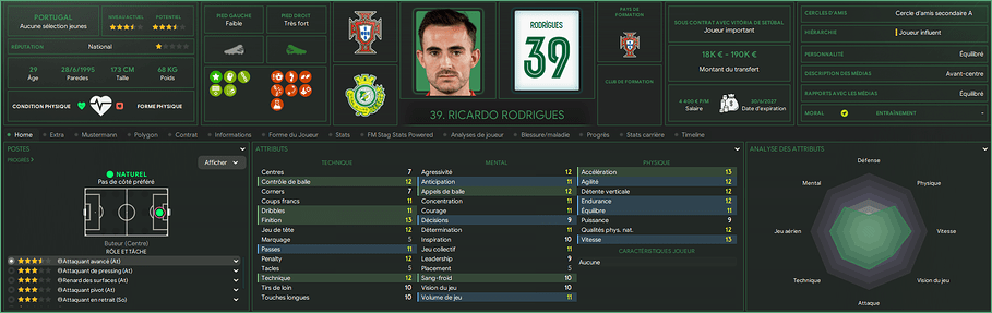 Ricardo Rodrigues_ Profil