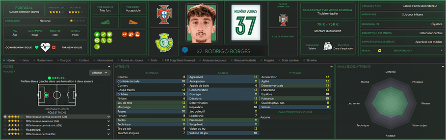 Rodrigo Borges_ Profil