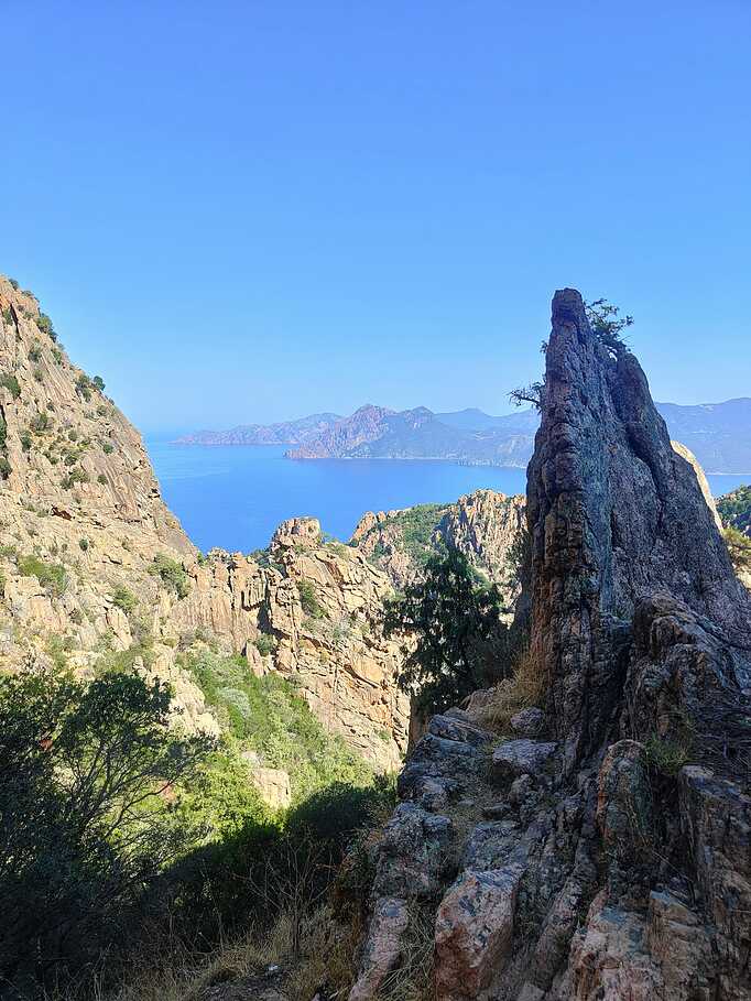 1d60cefd-ef8c-4efa-8de8-ef0c4b3b5768