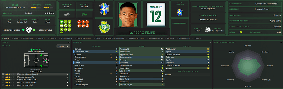 Pedro Felipe_ Profil