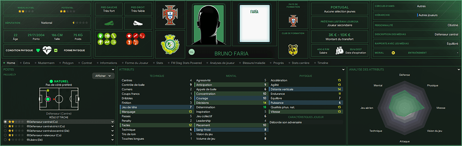Bruno Faria_ Profil