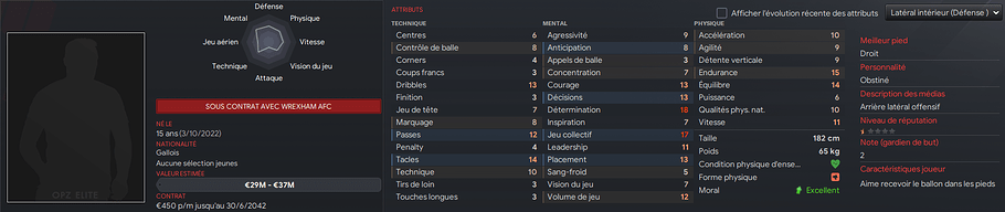 joueur