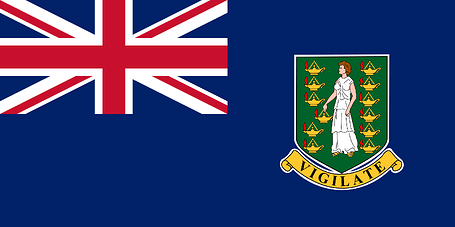 Flag_of_the_British_Virgin_Islands.svg