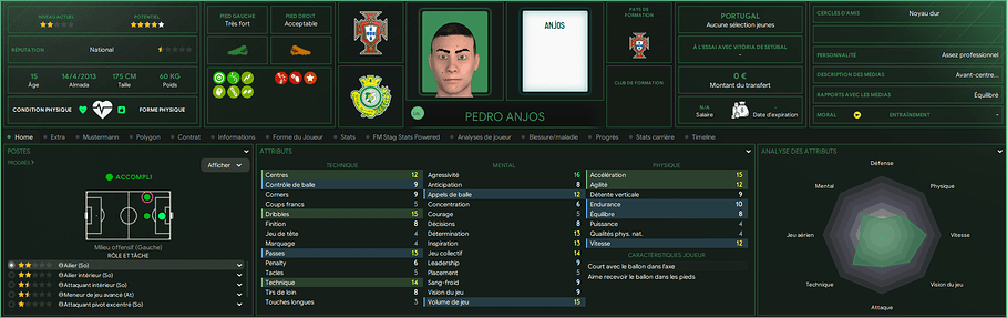 Pedro Anjos_ Profil