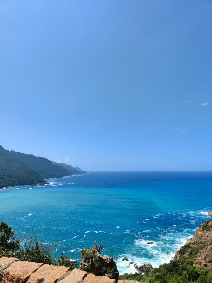 0dbf242f-700d-4444-b262-49fca6c68917