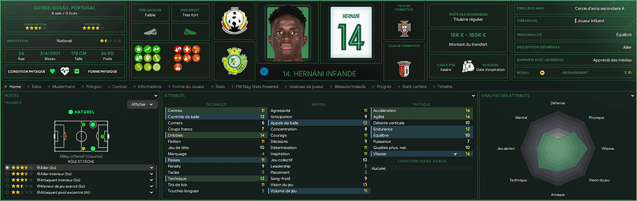 Hernâni Infande_ Profil