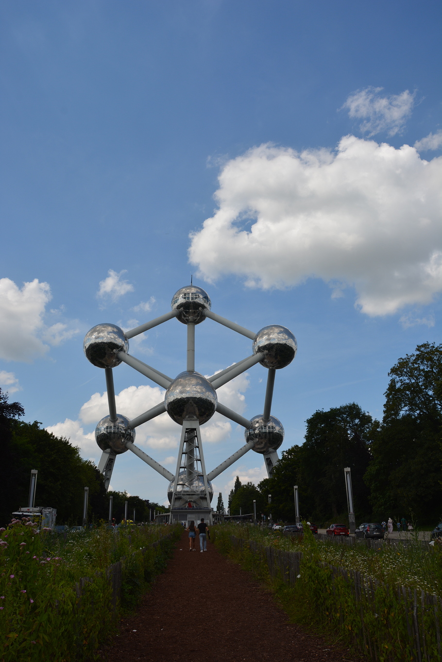 DSD_0001 (736)