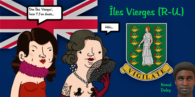Flag_of_the_British_Virgin_Islands (2)