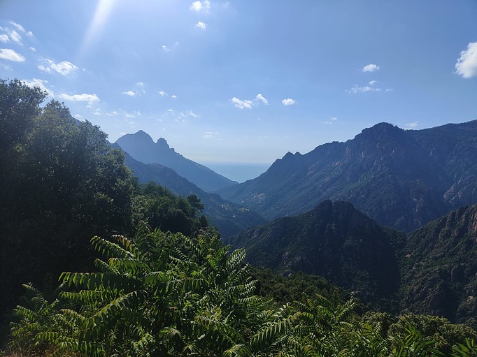 b776337e-efd5-4a75-a506-edd43b4accfd