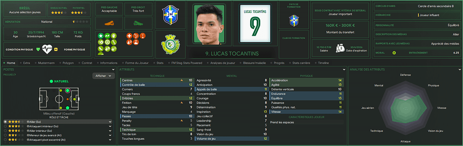Lucas Tocantins_ Profil