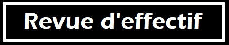 21-%20Revue%20d'effectif
