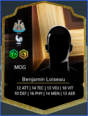 mog - loiseau
