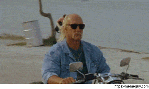 hulk-hogan-riding-a-motorcycle-while-a-guy-in-the-background-throws-a-dog-into-the-ocean-343747