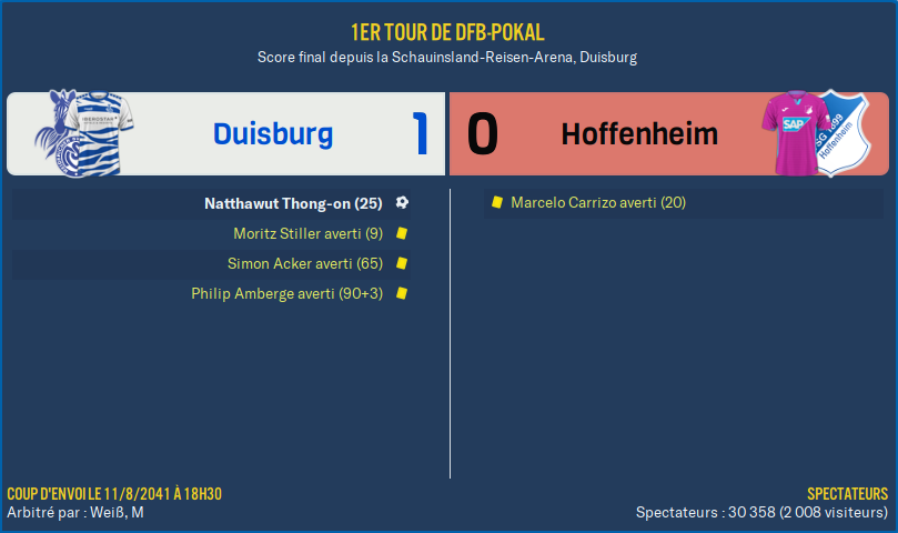 Duisburg - Hoffenheim_ Résumé