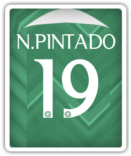 19_Pintado