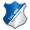 :hoffenheim: :hoffenheim:
