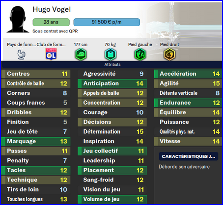 dg - vogel