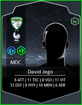 Fiche fifa jego