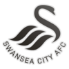 :swansea_city_fc: