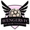 :avengers_fc: