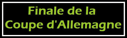 99-%20Bandeau%20Finale%20Coupe%20d'Allemagne