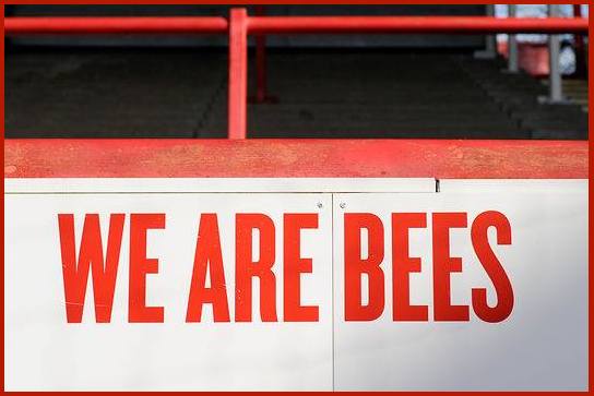 We are bees