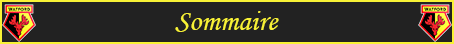 Sommaire