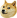 :doge: