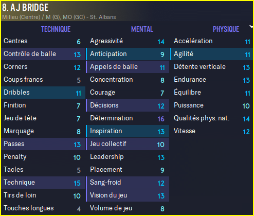 Bridge