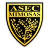 :asec_mimosa: