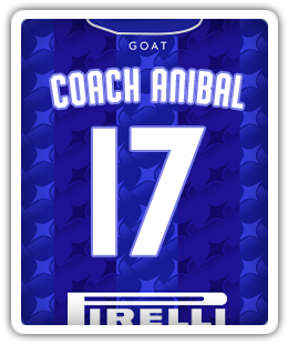 17_Anibal