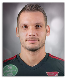 Kozicky