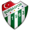 :bursaspor: