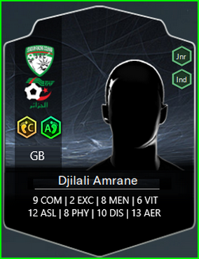Fiche fifa amrane