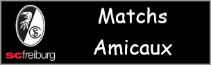 Matchs amicaux