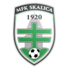 :mfk_skalica: