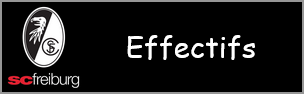 effectifs