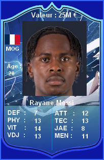 Fiche Messi