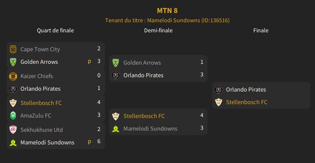 10.3 MTN 8_ Phases