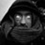 AnthonyJzql